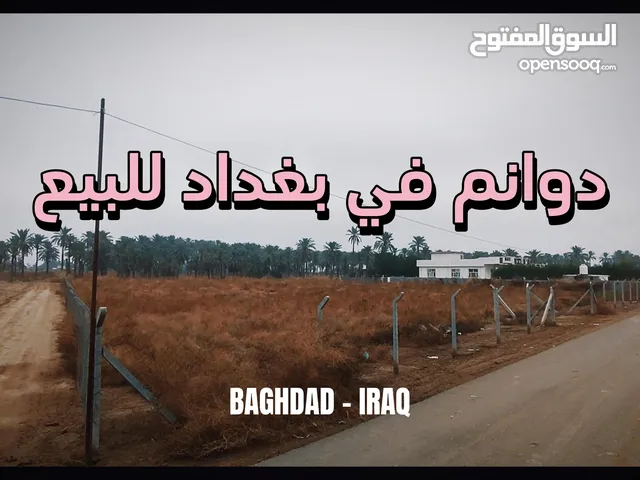 More than 6 bedrooms Farms for Sale in Baghdad Radwaniyah