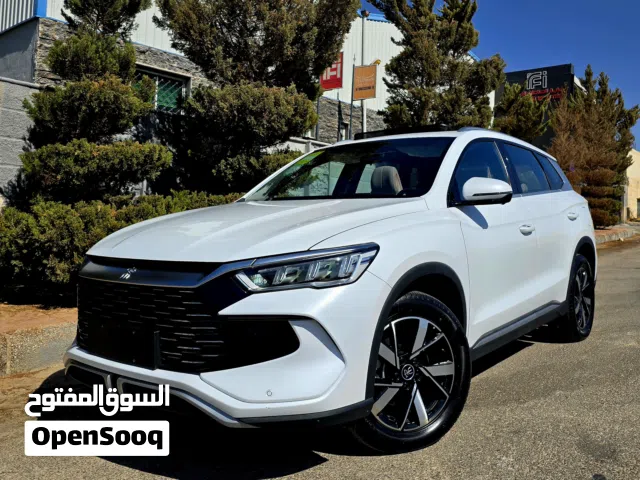 2024, بي واي دي, سونج برو