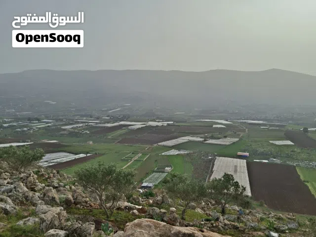 Residential Land for Sale in Nablus Askar