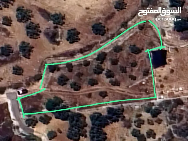 ارض للبيع فى عصيرة الشمالية، طابو نابلس، كوشان مستقل لخمسة اسخاص، كل شخص يضع سنسال على حصته