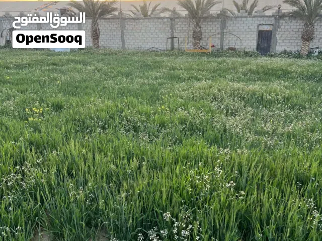 فرصة إستثمارية من المالك مباشرة أرض مسورة 10 دنم للبيع فقط 5 كيلو جنوب جسر المطار قريب الصحراوي