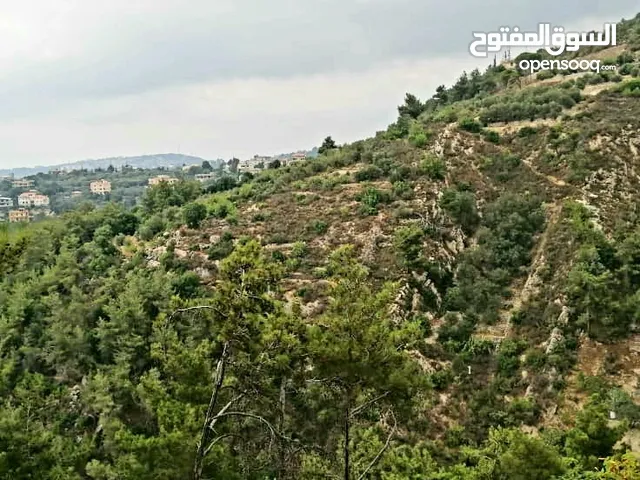Land for sale in Borjein, Chouf 1400 m2