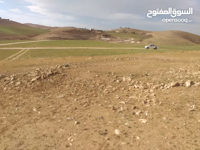 Farm Land for Sale in Madaba Mai'n