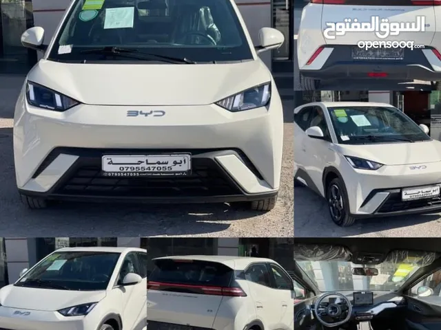New BYD Seagull in Amman