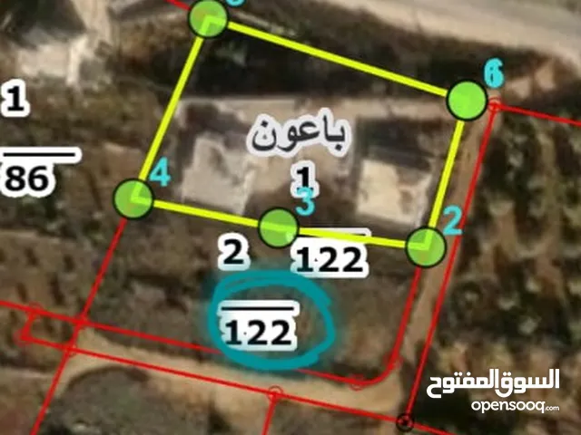 قطعة أرض مميزه للبيع في محافظة عجلون قريه باعون