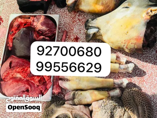 Fresh • Clean • Hygienic Cow Head Roast