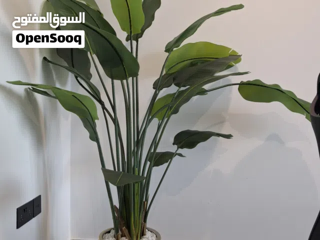 Tall Artificial Indoor Plant – Luxury Home & Office Decor – Urgent Sale Dubai