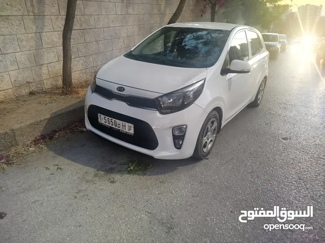 Used Kia Picanto in Qalqilya