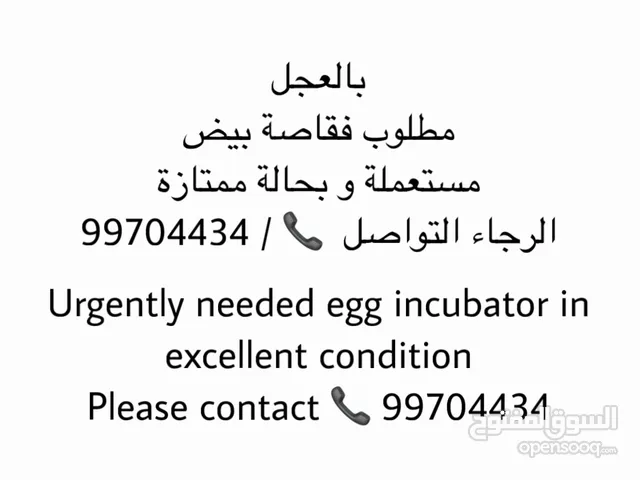 مطلوب فقاصة بيض مستعملة بشكل عاجل / Urgently needed egg incubator in excellent condition