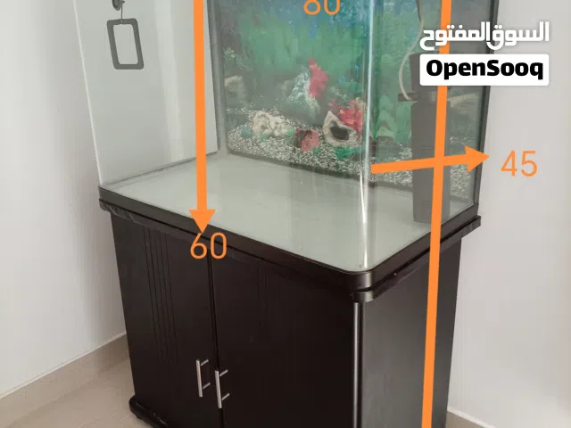 للبيع حوظ أسماك