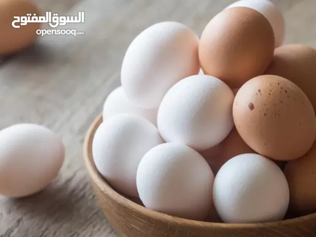 متوفر بيض بش مصري  3بيضات ب1000