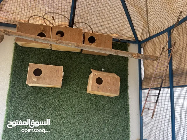 قفص مميز حجمه كبير 240 ارتفاع 150 عرضه فيه حواجز لاوساخ الشبك نوع القوي صلب جدا وطربال واتر بروف