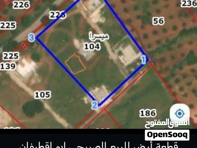 Mixed Use Land for Sale in Salt Al Subeihi