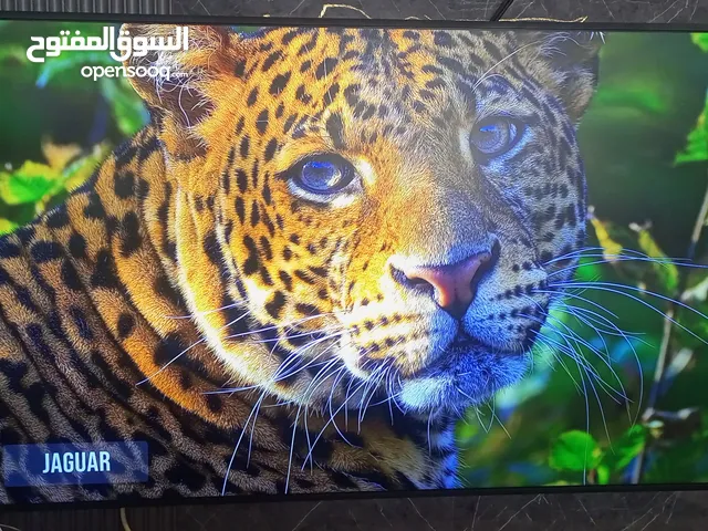 Samsung QLED 65 inch TV in Amman