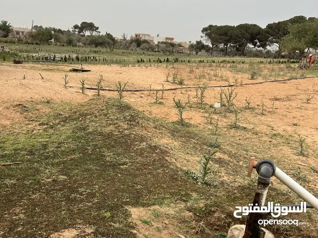 Residential Land for Sale in Zawiya Other
