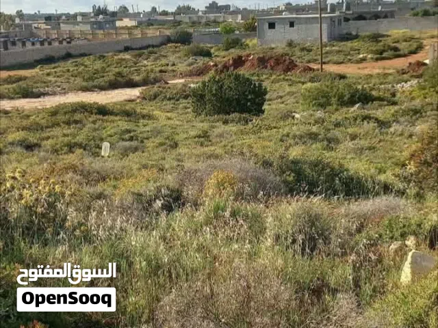 Residential Land for Sale in Jebel Akhdar Bayda