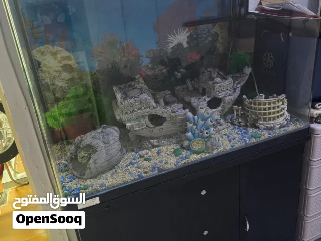 Huge aquarium for sale with many features and lights