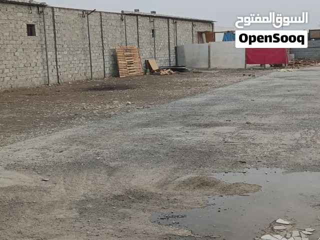 أرض مسوره للايجار  الشخاخيط