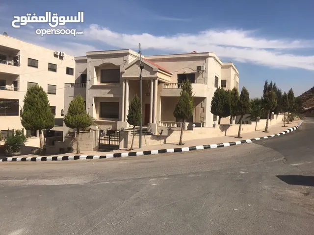 500m2 4 Bedrooms Villa for Rent in Amman Jubaiha