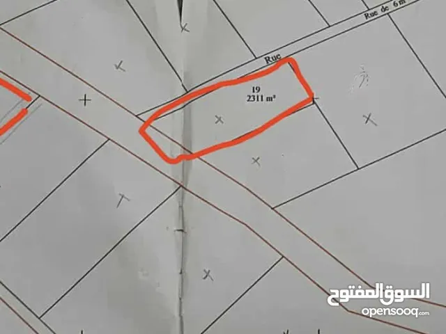 فرصة ارض للاستثمار