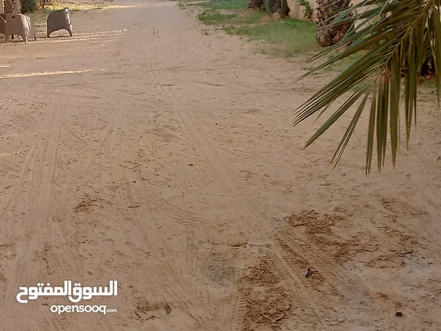 مطلوب مسثتمر