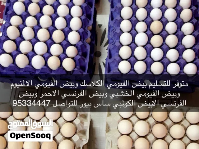 بيض دجاج فيومي وفرنسي للبيع نوعيات نخبه