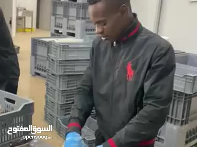 سمكة جراد البحر البيع