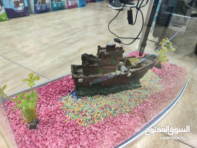 حوض سمك ، كيرف مطور اخر تطور شوف الوصف والمقاسات