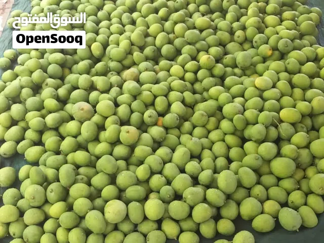 منجا عماني اخضر ( حدال )
