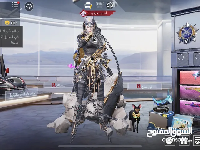 Pubg Accounts and Characters for Sale in Amman