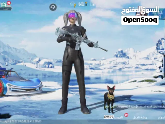 Pubg Accounts and Characters for Sale in Ibb