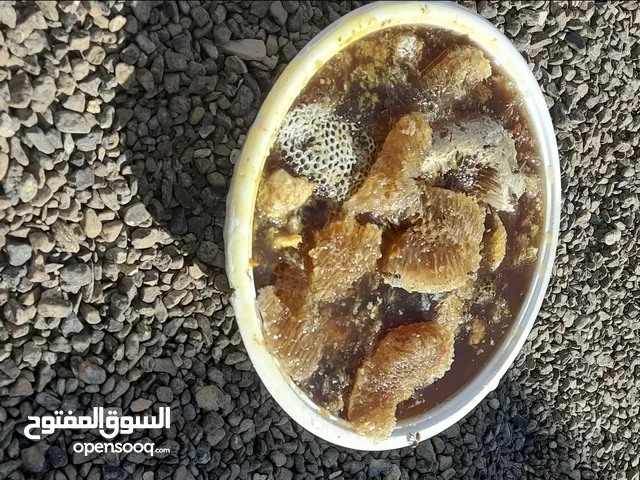 عسل برم اصلي أبو طويق حر مضمون
