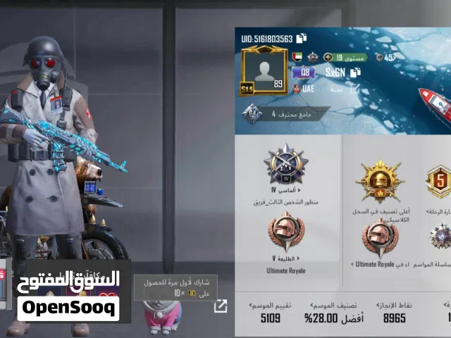Pubg Accounts and Characters for Sale in Sharjah