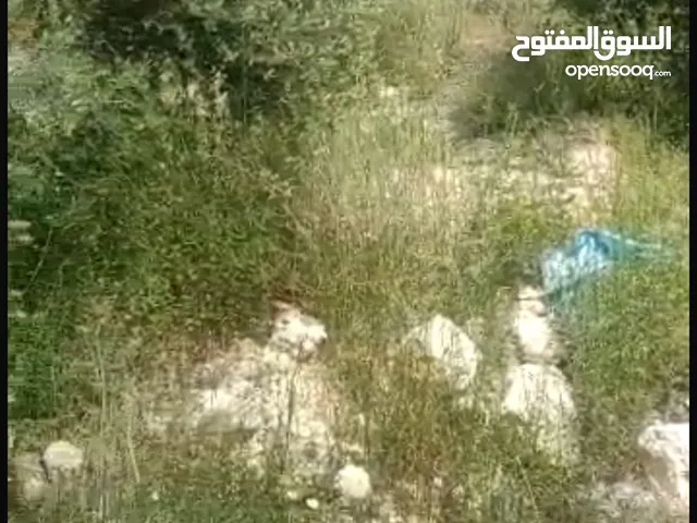ارض للبيع في الخمارة دير الغصون 860 متر