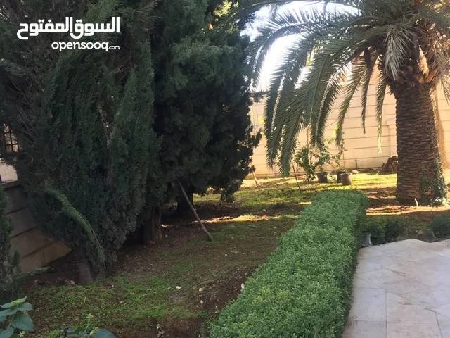 800 m2 More than 6 bedrooms Villa for Rent in Amman Abdoun