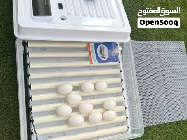 حضانة دجاج 130بيضة