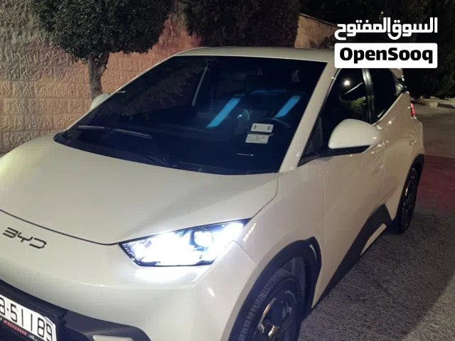 2024 بي واي دي سيجول