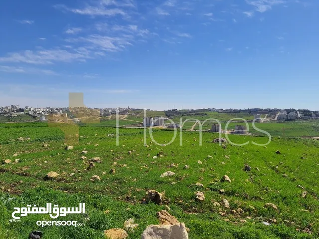 Residential Land for Sale in Amman Hjar Al Nawabilseh