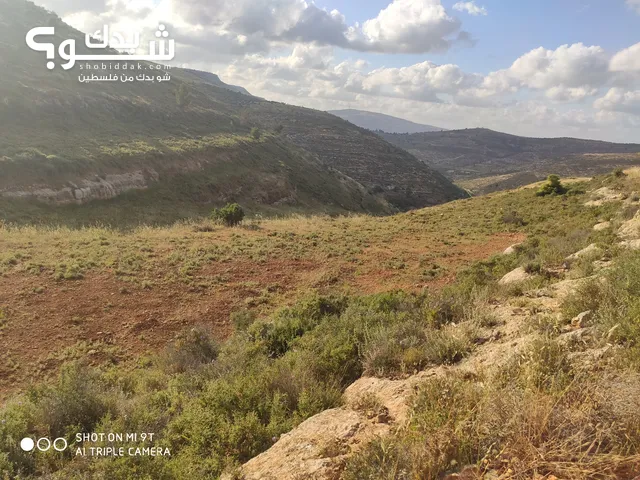 Mixed Use Land for Sale in Nablus Aqraba
