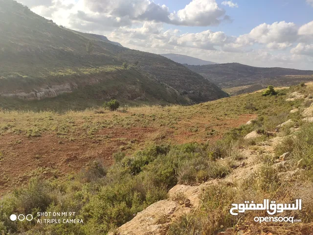 Mixed Use Land for Sale in Nablus Aqraba