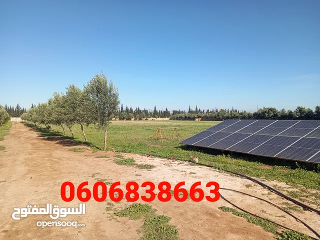 4 Bedrooms Farms for Sale in Settat Other