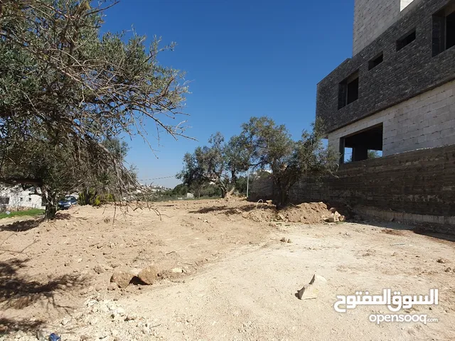 Residential Land for Sale in Amman Badr Jdedeh