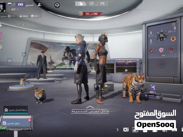 بيع حساب ببجي من سيزن الثاني فيه نوادر الصور اللي موجوده قديمه شوي اذا تبي تشوفه عندي فيديو