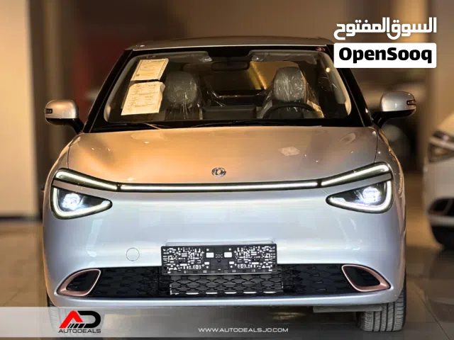 2025, دونج فينج, نامي بوكس