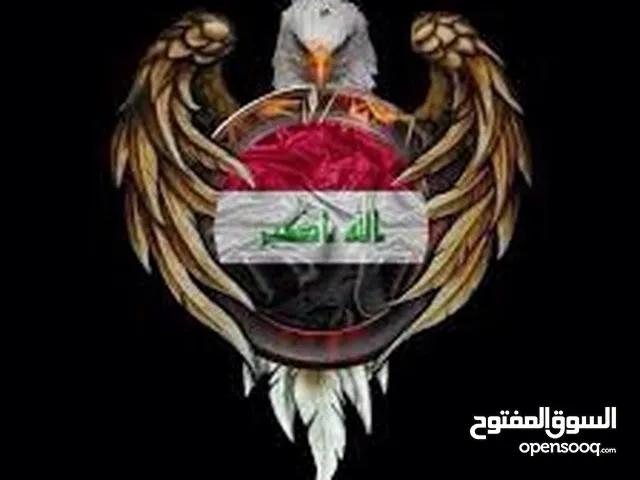 تخم تركي لون ( جوزي ) مكون من خمسه مقاعد مقعد شخص واحد عدد 2 مقعد شخصان مقعد 4 اشخاص عدد 2