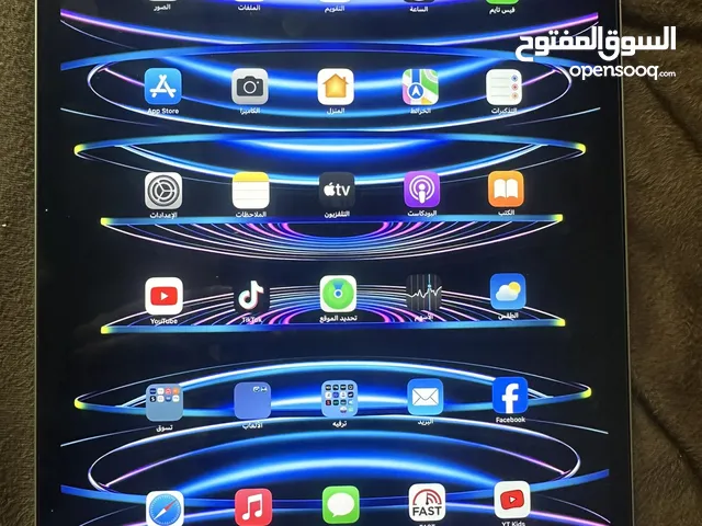 Apple iPad Pro 6 256 GB in Muscat