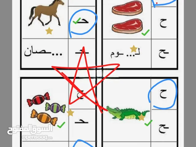 تدريس مادة اللغة العربية ( ابتدائي) خبره خمس سنوات في مجال التأسيس والصفوف الأولية