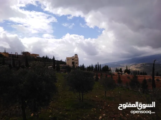 Mixed Use Land for Sale in Jerash Al-Mastaba