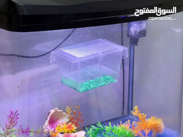 صندوق سمك متكامل بحضانة صغيرة واعشاب صناعية
