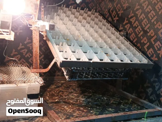 فقاسة بيض توماتيك بحال الوكاله